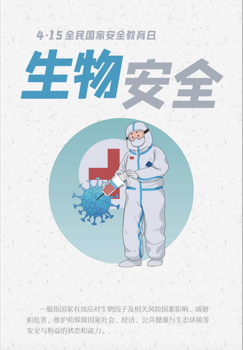 荣耀国际(中国区) - 官方网站