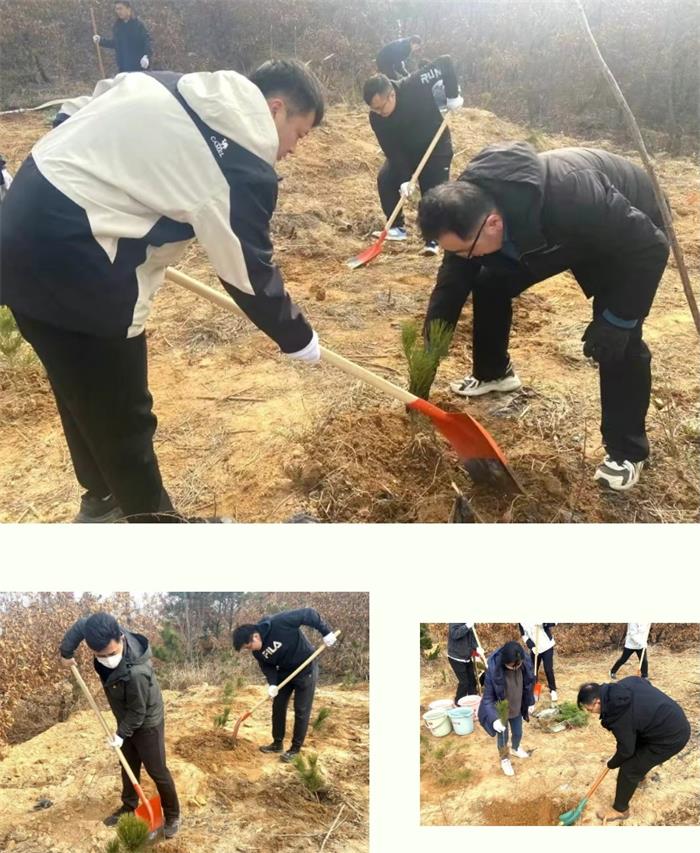 荣耀国际(中国区) - 官方网站